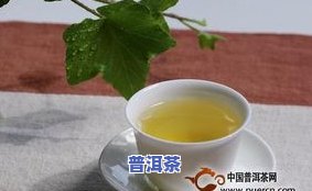 普洱茶怎么喝好喝，探索美味：普洱茶的正确冲泡方法与口感提升技巧