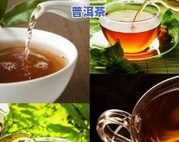 普洱茶咋样喝好呢视频讲解下载，【视频讲解】如何正确品尝普洱茶？