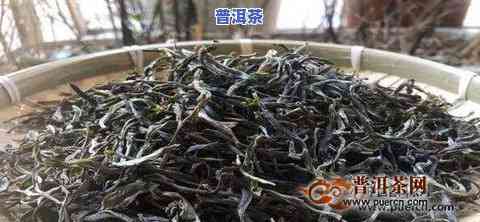 冰岛糯伍普洱茶价格，探究冰岛糯伍普洱茶的价格趋势与价值