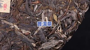 冰岛糯伍古树茶价格，探索珍稀美味：冰岛糯伍古树茶的价格解析