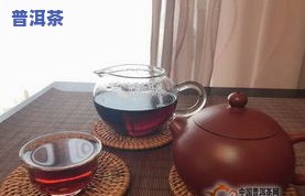 金枫普洱茶，品味尊贵：金枫普洱茶的独特魅力与口感探索