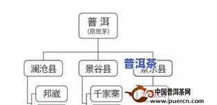 冰岛普洱茶福建哪里有售？熟悉其特别卖点与购买渠道