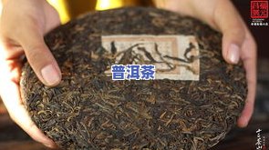 那卡普洱茶357克多少钱-那卡普洱茶价格多少钱