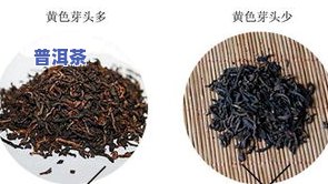 普洱茶滇红金螺质检报告图片：怎样区分滇红金螺的好坏及等级？