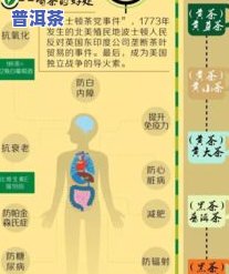 探究茶叶的产地：分布广泛，何处更佳？