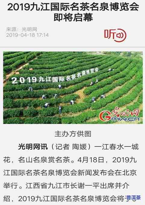 探究茶叶的产地：分布广泛，何处更佳？