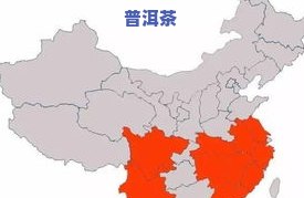 探究茶叶的产地：分布广泛，何处更佳？