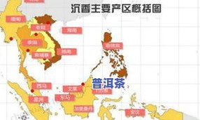 探究茶叶的产地：分布广泛，何处更佳？