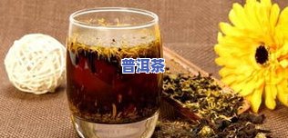 玫瑰普洱茶是凉性吗，解密玫瑰普洱茶：它真的是凉性饮品吗？