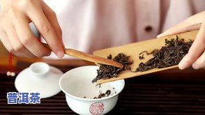 普洱茶七种武器名称是什么-普洱茶七种武器名称是什么意思