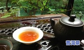 普洱茶的仓味是什么回事，探秘普洱茶的仓味：你所不知道的秘密