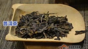 顶级冰岛普洱茶-顶级冰岛普洱茶多少钱一斤