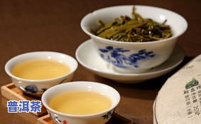 冰岛普洱茶，探索普洱茶的新境界：冰岛普洱茶的故事与理念