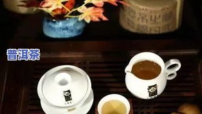 冰岛普洱茶，探索普洱茶的新境界：冰岛普洱茶的故事与理念