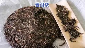 大麦普洱茶-大麦普洱茶的作用与功效