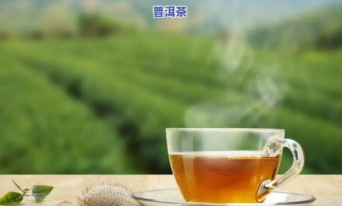 怎么样泡普洱茶才好喝一点-怎么样泡普洱茶才好喝一点呢