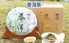 上市普洱茶-上市普洱茶企业