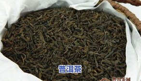 普洱茶醉春秋多少钱一斤，探究普洱茶醉春秋的价格，一斤要多少钱？