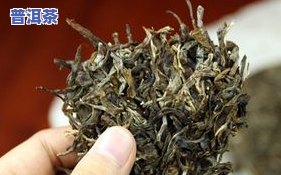 11年域邦普洱茶价格表-域邦普洱茶的简介