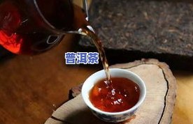 11年域邦普洱茶价格表-域邦普洱茶的简介