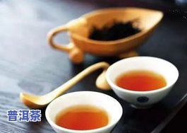 具有金融属性的普洱茶：金融茶全揭秘与品种大盘点