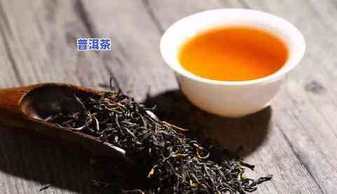 厦门特色普洱茶：由何种茶叶制成？哪家店好？