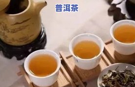 三伏天可以喝普洱茶吗女生，女性在三伏天是不是适合饮用普洱茶？