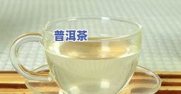 普洱茶7262是什么含义？