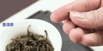 熟普洱茶有什么坏处，警惕！熟普洱茶的五大潜在危害，你必须知道