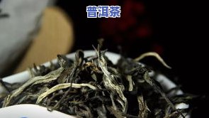 印象普洱生茶价格查询：357克及其它规格的价格一览