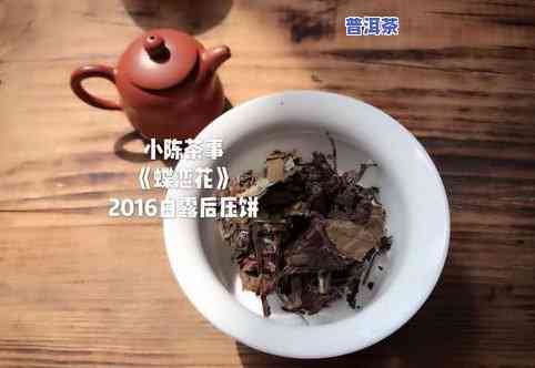 普洱生茶饼颜色变化图片大全高清