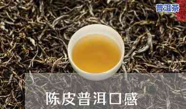 熟普洱茶做法流程视频教程：详细步骤解析