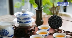 冰岛古树茶：品种、适宜季节与茶类解析