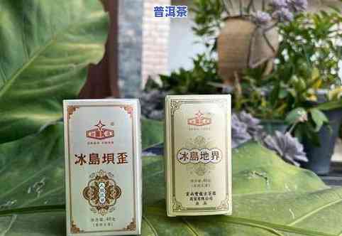 普洱茶能煮茶蛋吗？探讨其适宜性和方法