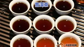 格尔木普洱茶价格表图片大全：全面熟悉各类茶品的价格与图片信息