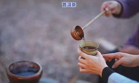 普洱v93什么意思-普洱茶v93是什么意思