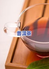 百中堂普洱茶官网，探索高品质普洱茶的首选之地——百中堂普洱茶官网上线！