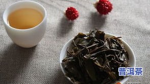 普通普洱茶可以泡茶吗-普洱茶可以泡吗?