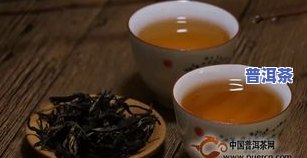 茶叶市场直播普洱茶-茶叶市场直播普洱茶视频