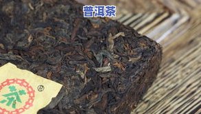 成都普洱茶产地哪里更好-成都普洱茶产地哪里更好喝