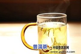 新疆古树普洱茶零售价格-新疆古树普洱茶零售价格表