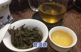 探究老班章茶树品种：熟悉其特性和分类