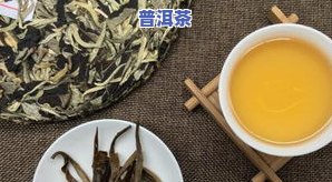 思茅普洱茶不卖了吗现在还能买吗，询问：思茅普洱茶是不是还在销售？现在还能购买到吗？