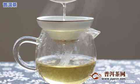 曼岗古树茶是什么茶，解密曼岗古树茶：探寻这种独特茶叶的来历与特点