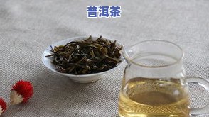 普洱茶批发哪里价格更低，寻找更优惠的普洱茶批发价？这里帮你省下一大笔钱！