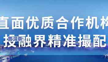 冰岛普洱生茶饼价格，探寻冰岛普洱生茶饼的价格之旅