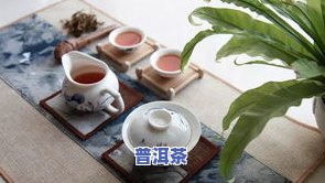 普洱的特产品种大全：图片与茶饮一网打尽！