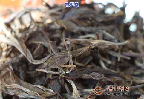 一年存多少普洱茶饼更好-一年存多少普洱茶饼更好呢