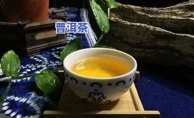 冰岛普洱茶叶，探索冰岛特别风味：品尝冰岛普洱茶叶！