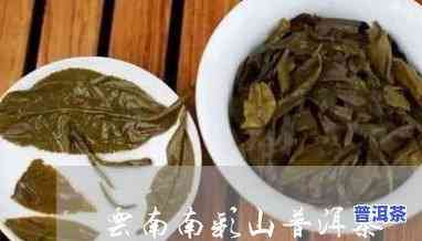 普洱茶是不是是名茶呢怎么看-普洱茶是不是是名茶呢怎么看出来